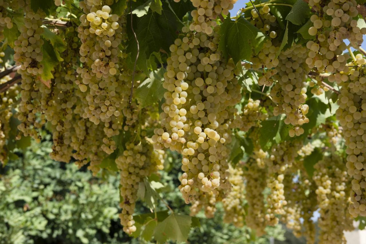 Masseria Lilei Lizzanello 外观 照片