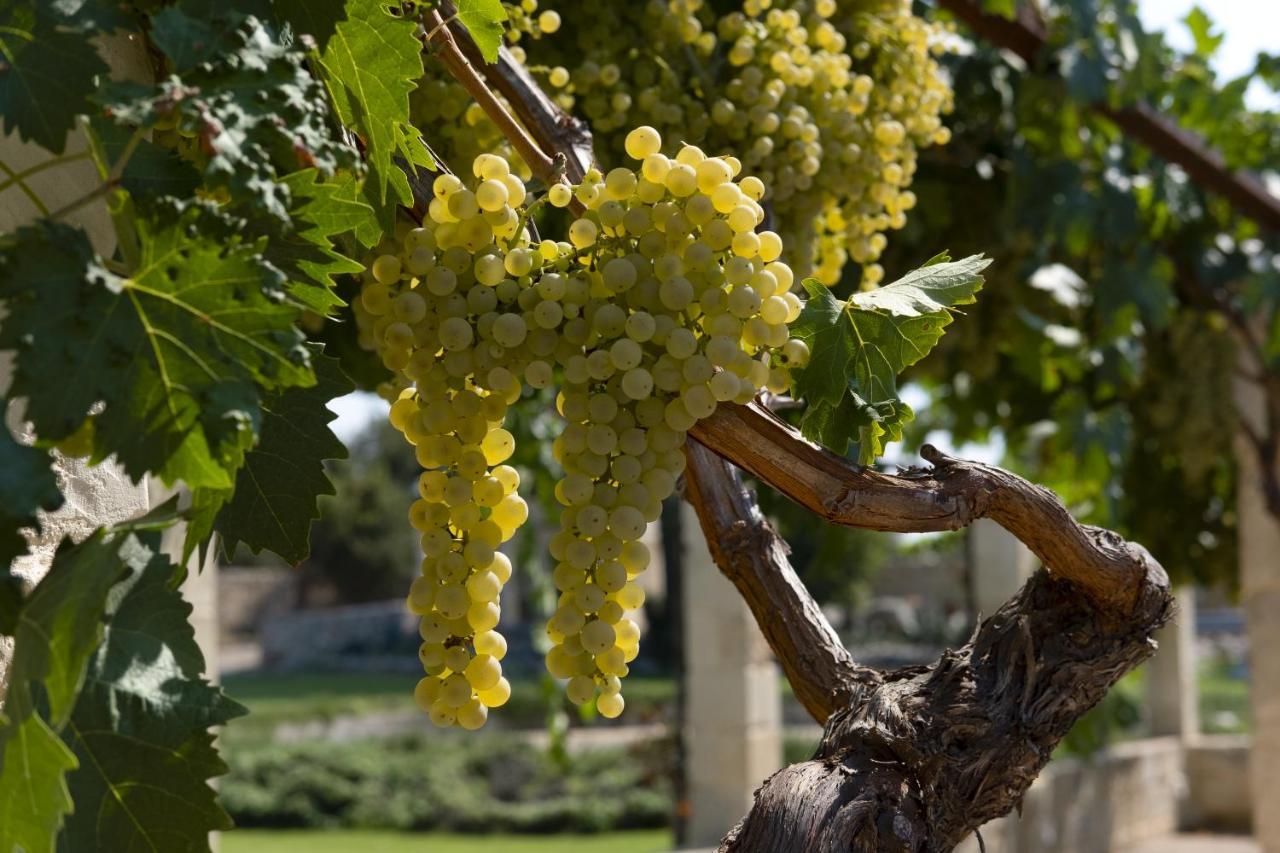 Masseria Lilei Lizzanello 外观 照片